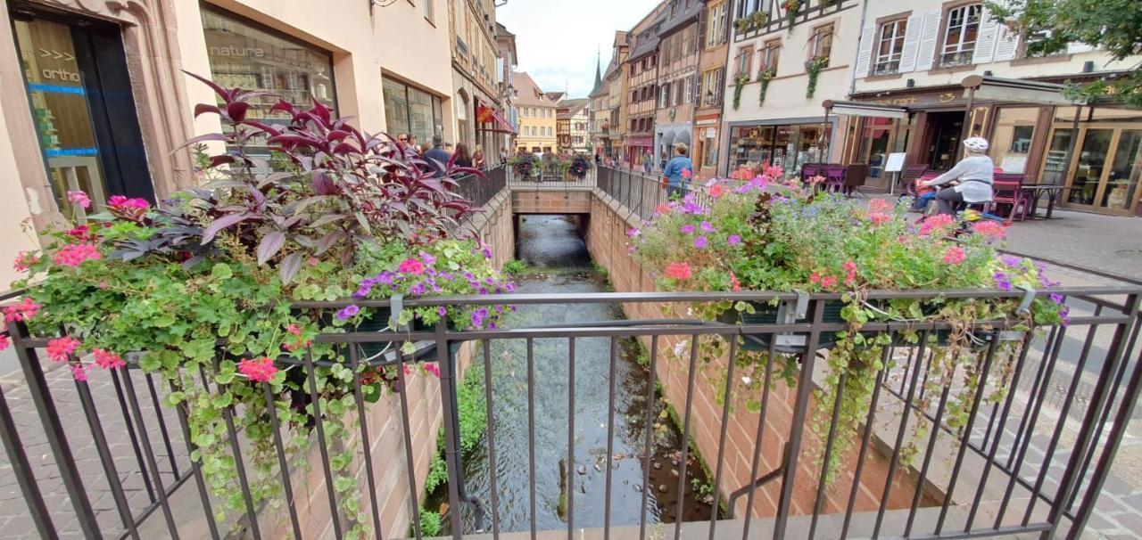 Le Green St Leon : Lit Queen Size * Wifi * Ideal Couple Colmar Bagian luar foto