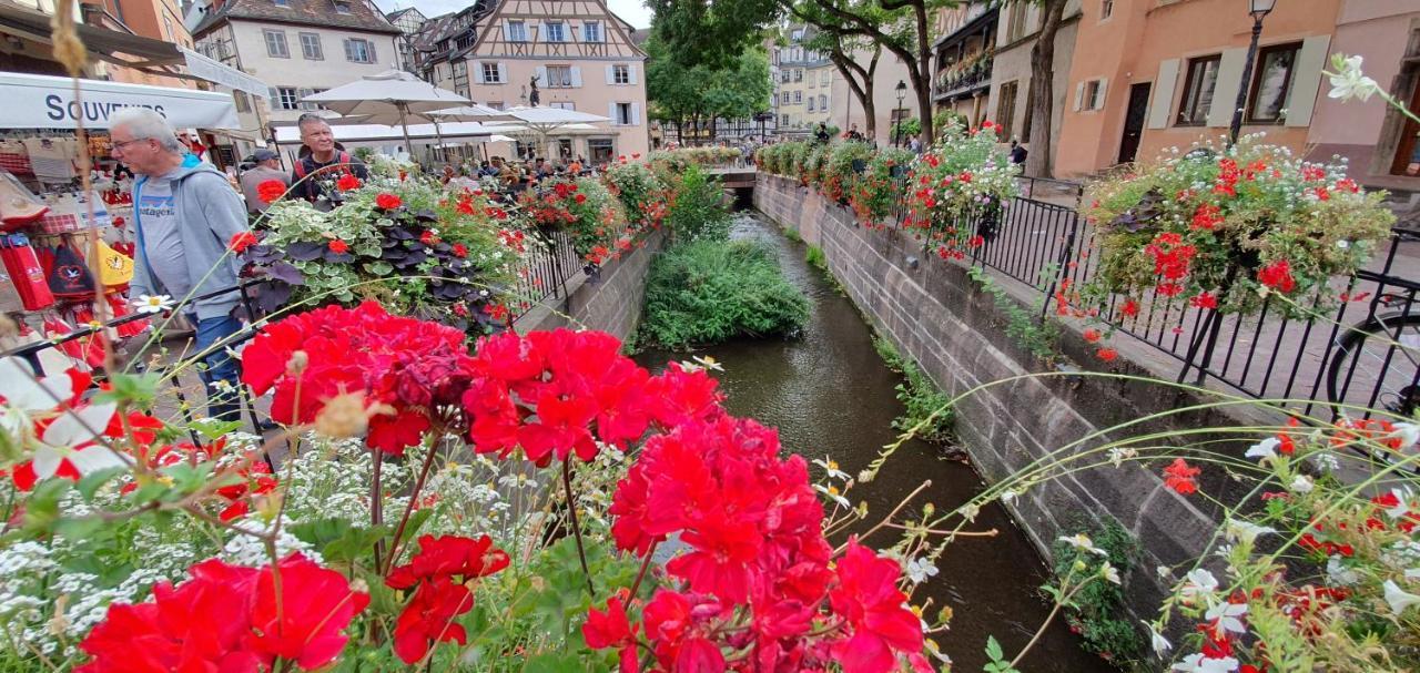Le Green St Leon : Lit Queen Size * Wifi * Ideal Couple Colmar Bagian luar foto