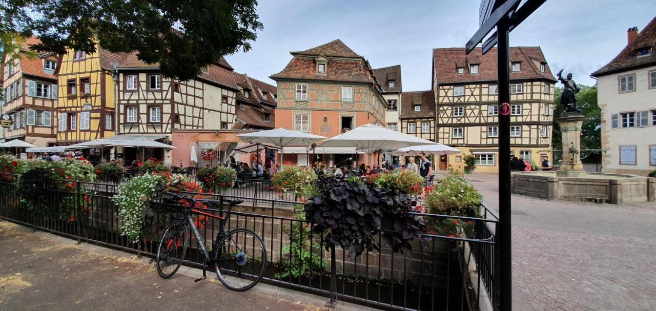 Le Green St Leon : Lit Queen Size * Wifi * Ideal Couple Colmar Bagian luar foto